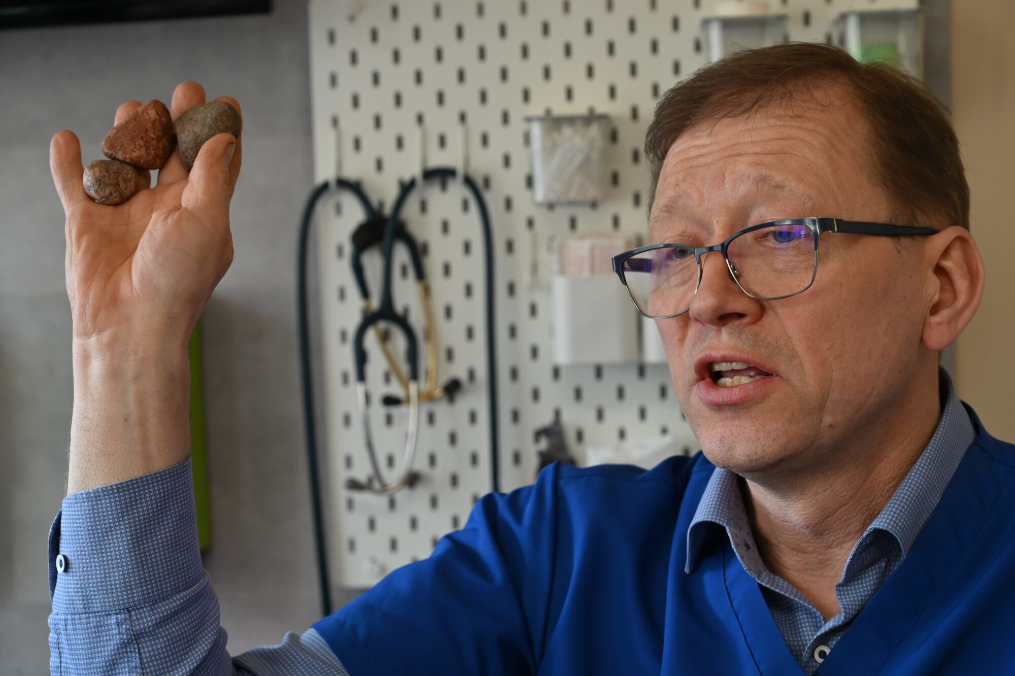 Dzintars Tīds: Suņu mērim ir grūti izplatīties, ja mūsu mājdzīvnieki ir vakcinēti