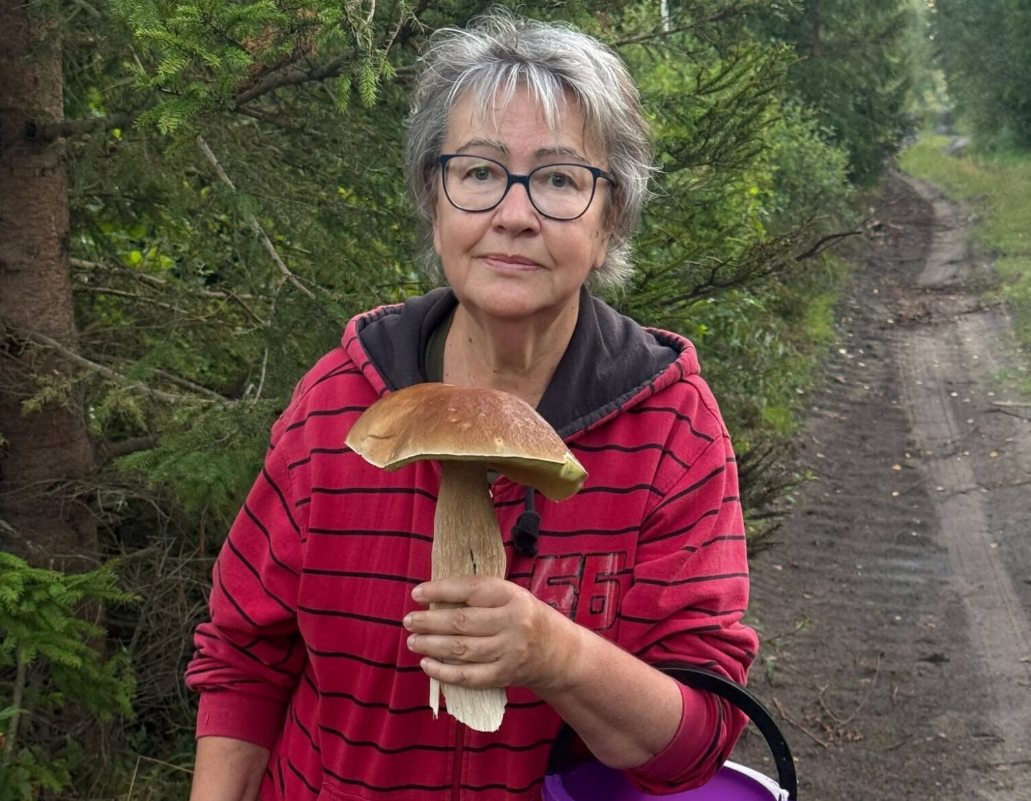 Receptes: Sēņu trakums pilnā sparā. Iedvesmojošs sēņotājas stāsts un gardākās gaileņu, baraviku un pīrāgu receptes