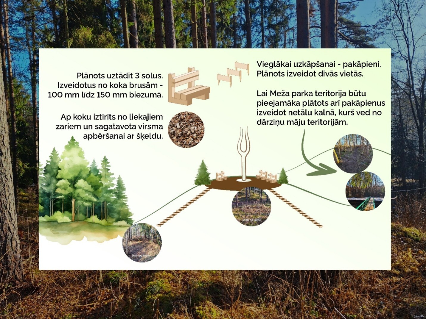 Vidzeme: Meža diena 2026 Valkas Mežaparkā