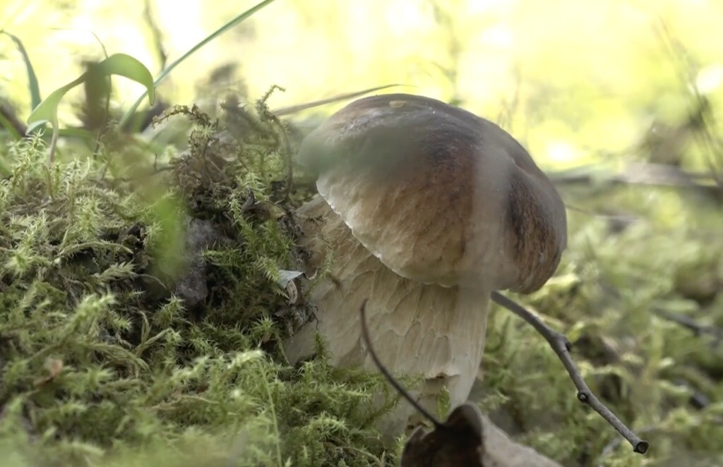 Sestdiena lielākoties gaidāma mākoņaina, bet vietām uzspīdēs saule