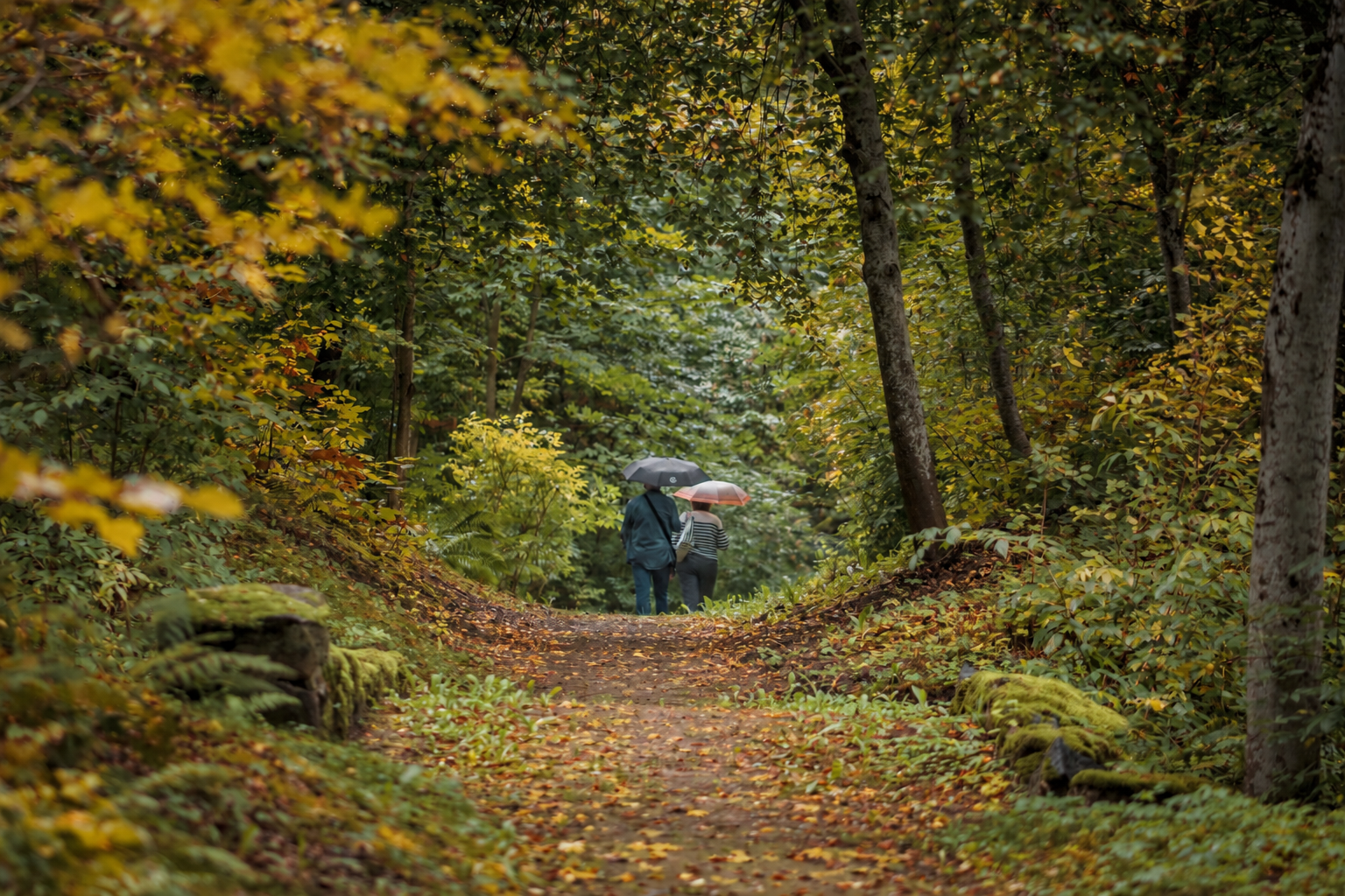 Dienvidkurzemē oktobrī norisināsies rudens apceļošanas spēle “Trallalā”
