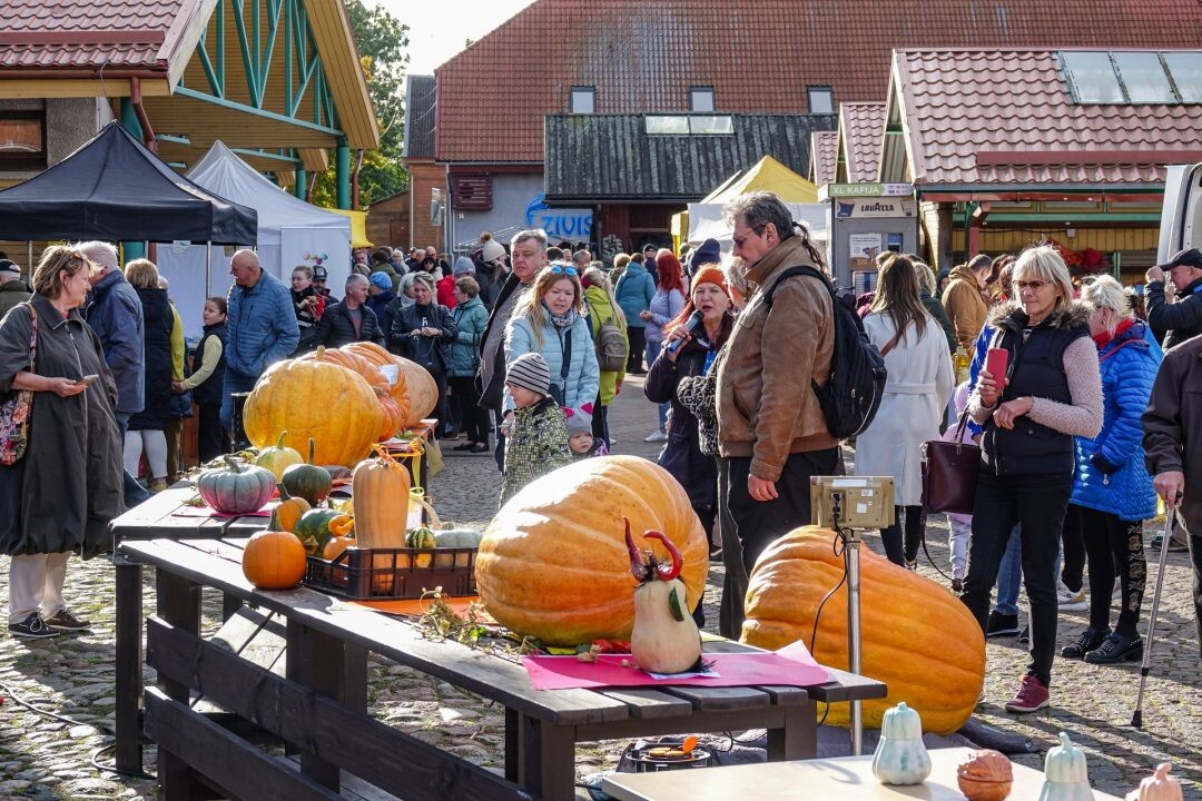 Kurzeme: Lielā ķirbju svēršana un gadatirgus