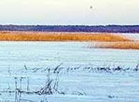 Ir pabeigts Liepājas ezera dabas aizsardzības plāna izstrādes pirmais posms