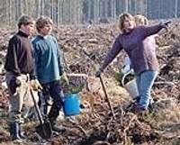Mežu stādīšanā iegulda Eiropas Savienības naudu