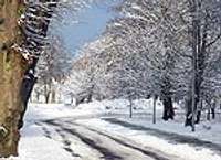 Sniega dēļ strauji mainās braukšanas apstākļi uz valsts galvenajiem ceļiem