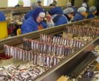Izbeigts zivju pārstrādes uzņēmuma “Kolumbija Ltd” maksātnespējas process