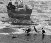 Dreifējošie ledus gabali kavē zvejniekus