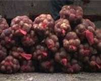 Trūcīgie saņem kartupeļus