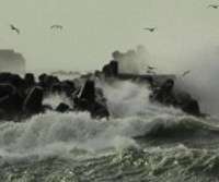 Vētras laikā jūras piekrastē vējš pastiprināsies brāzmās līdz 30 metriem sekundē