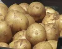 Tirgus pilns ar jaunajiem kartupeļiem