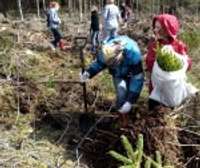 Atsākas ekoskolu koku stādīšanas kampaņa