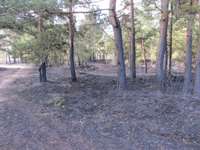 Karostā izdeg 30 hektāri; dedzis arī mežs