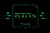 Notiks mākslinieku apvienības “Trihars” personālizstāde “BIOs” noslēguma pasākums