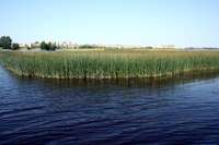 Sabiedrība pētīs Kurzemes ezerus