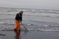 Biedrība “Ziemupīte” aicina rūpēties par Baltijas jūru