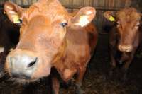 Saeima piensaimnieku kompensācijām piešķir 7,9 miljonus eiro