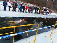 Liepājā norisināsies Latvijas ziemas peldēšanas čempionāta I posms