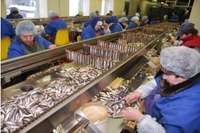 NVA Liepājas filiālē reģistrējušies 30 zivju pārstrādē iepriekš nodarbinātie