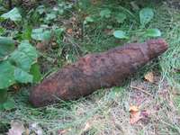 LVM darbinieks Dienvidkurzemes mežā atradis nesprāgušu munīciju