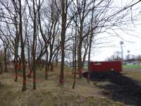 Aicina izteikt viedokli par koku ciršanu stadiona “Daugava” rezerves laukuma teritorijā