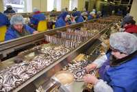 Pērn pieaudzis zivju pārstrādātāja “Kolumbija LTD” apgrozījums