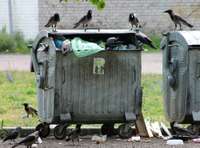 Oktobrī sadzīves atkritumu apsaimniekošanas maksa Liepājā pieaugs