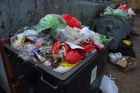 VVD brīdina nededzināt mājsaimniecībās radītos atkritumus