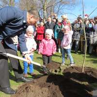 Valsts prezidents J.Čakstes laukumā iestāda Latvijas simtgades ozolu