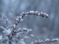Dienu skaits ar sniega segu šoziem Latvijā – mazākais pēdējos 60 gados