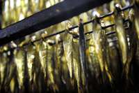 Zivju pārstrādes uzņēmumam “Kolumbija Ltd.” ierosināts tiesiskās aizsardzības process