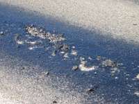 Uzkarsis asfalts var būt slidens, aicina ziņot par bīstamām vietām