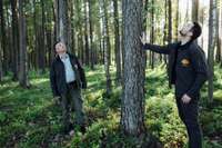 Skandināvijas standartiem atbilstoša mežu apsaimniekošana Latvijā