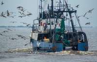 Stājas spēkā grozījumi noteikumos par rūpnieciskās zvejas limitiem iekšējos ūdeņos