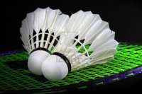 Badmintonistiem pieticīgs starts Eiropas čempionātā