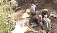 Kurzemes mežos meklē karā kritušo karavīru mirstīgās atliekas