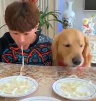 Dienas prieks: Makaronu ēšanas sacensība starp cilvēku un suni