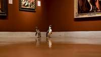 Dienas prieks: Pingvīni dodas ekskursijā uz mākslas muzeju