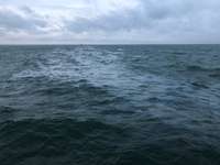 Jūras spēki sāk noplūdušas naftas savākšanu Baltijas jūrā