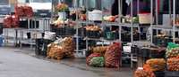 Patēriņa cenas maijā Latvijā gada laikā pieaugušas par 2,6%