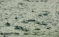 Piektdien vairāk lietus mākoņu būs Kurzemē