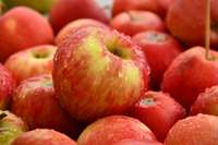 Receptes: rudens prieks – ābolrausis