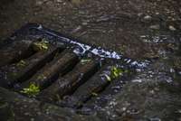 Kuldīgas novadā konstatē neattīrītu sadzīves notekūdeņu novadīšanu lietus kanalizācijā