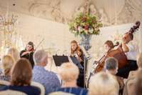 Liepājas Simfoniskais orķestris Ziemassvētkos dāvina trīs tiešsaistes koncertus