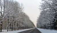 Šorīt visā Latvijā apledojums un sniegs apgrūtina braukšanas apstākļus