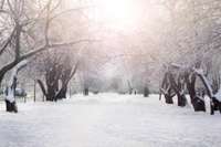 Sestdien daudzviet Latvijā snigs, vietām Kurzemē – stipri
