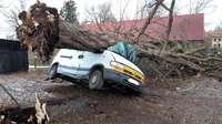 Lažas pagastā vēja nogāzts koks saplacina pamestu auto