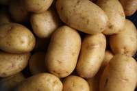 Atgadījums Tirgus ielā: Ar zagtu kartupeļu maisu policistiem tieši rokās