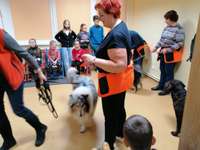 Suņi iedrošina ukraiņu bērnus