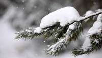 Sestdien Latvijā atsevišķās vietās gaidāma stipra snigšana
