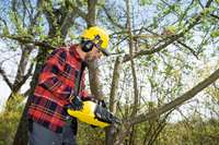 Sagatavojiet kokus un krūmus siltajai sezonai ar uzticamiem akumulatora instrumentiem